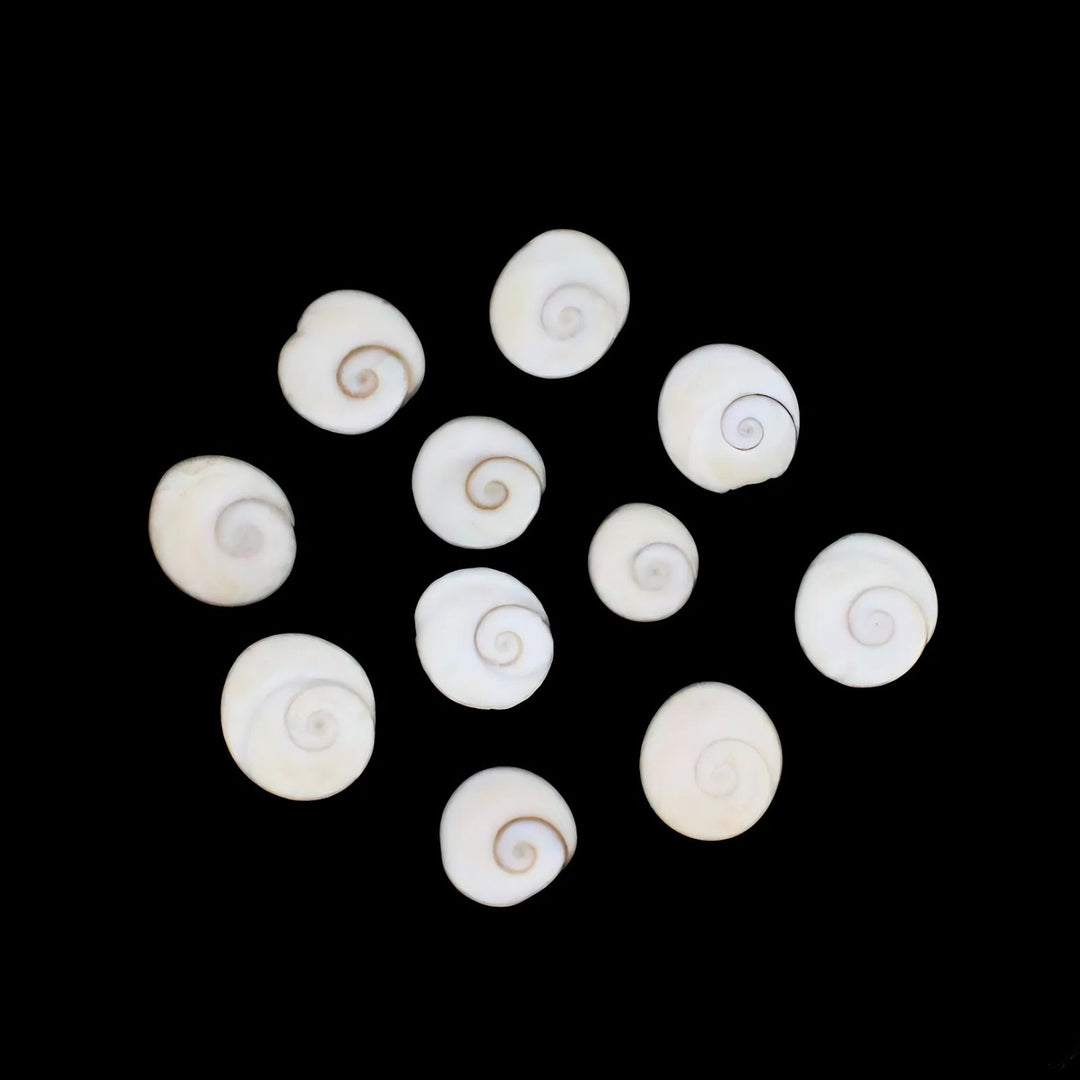 Natural White Round Gomti Chakra River Stones