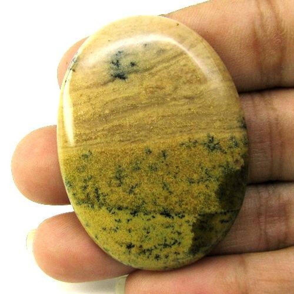 Selected 238.9Ct 4pc Wholesale lot Natural Picture Jasper Cabochon Gemstone