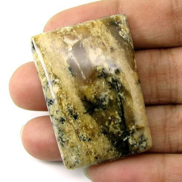 Selected 202.8Ct 4pc Wholesale lot Natural Picture Jasper Cabochon Gemstone