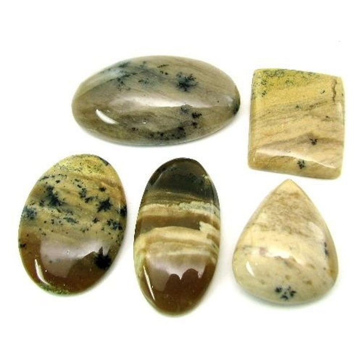 Selected-299Ct-5pc-Wholesale-lot-Natural-Picture-Jasper-Cabochon-Gemstone
