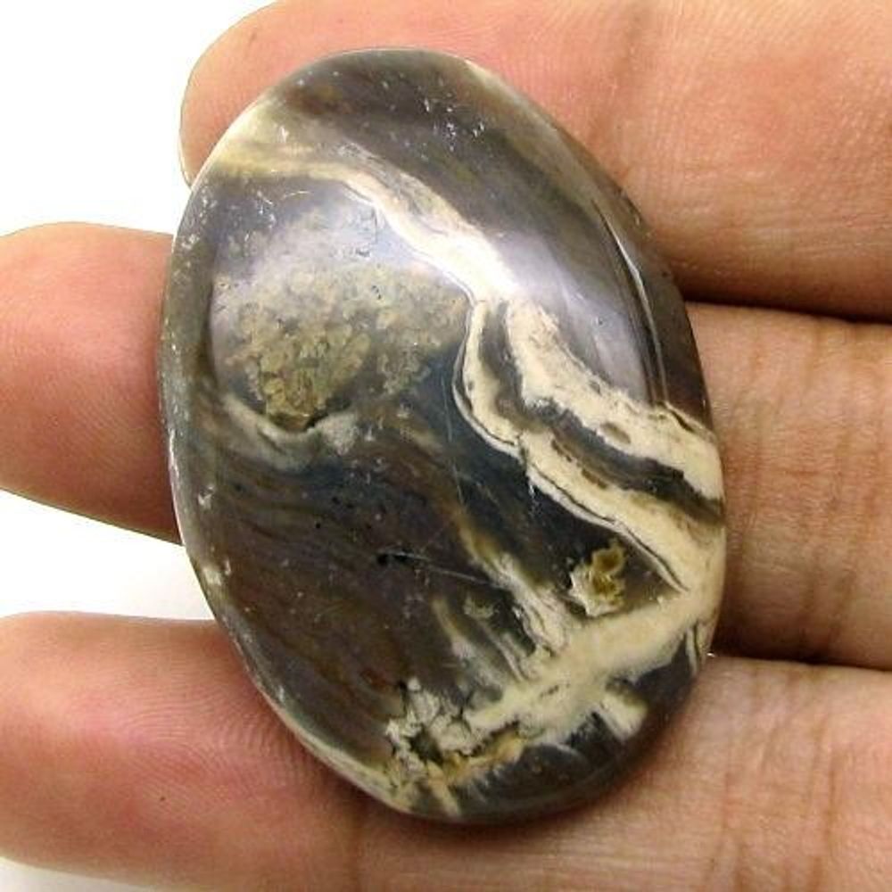 Selected 255.3Ct 4pc Wholesale lot Natural Picture Jasper Cabochon Gemstone