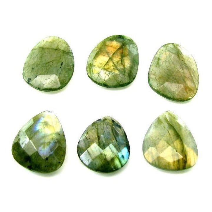 Color-Play-19Ct-2pc-Lot-Natural-Labradorite-Checker-Faceted-Gemstones
