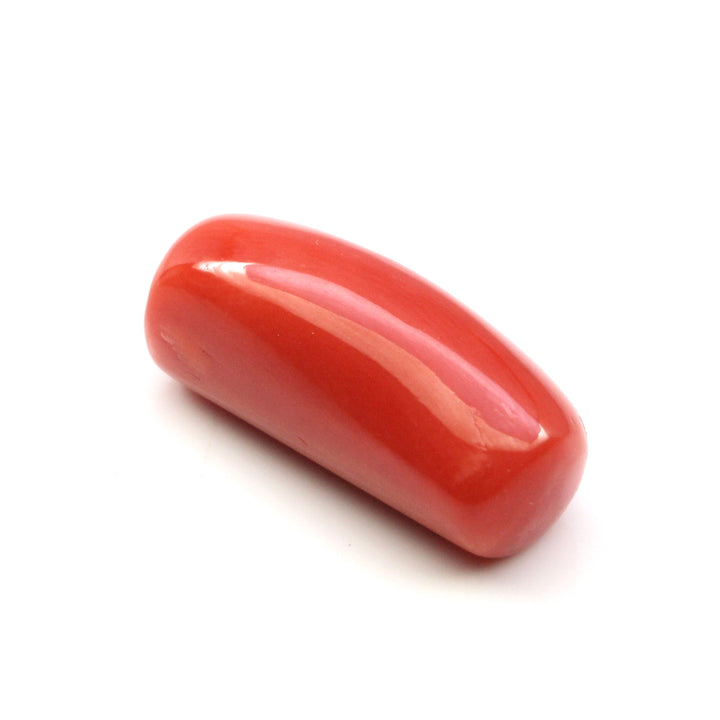 CERTIFIED������Top A+ 100% Large 8.56Ct Natural Real Red Italian Coral (Moonga) Gems