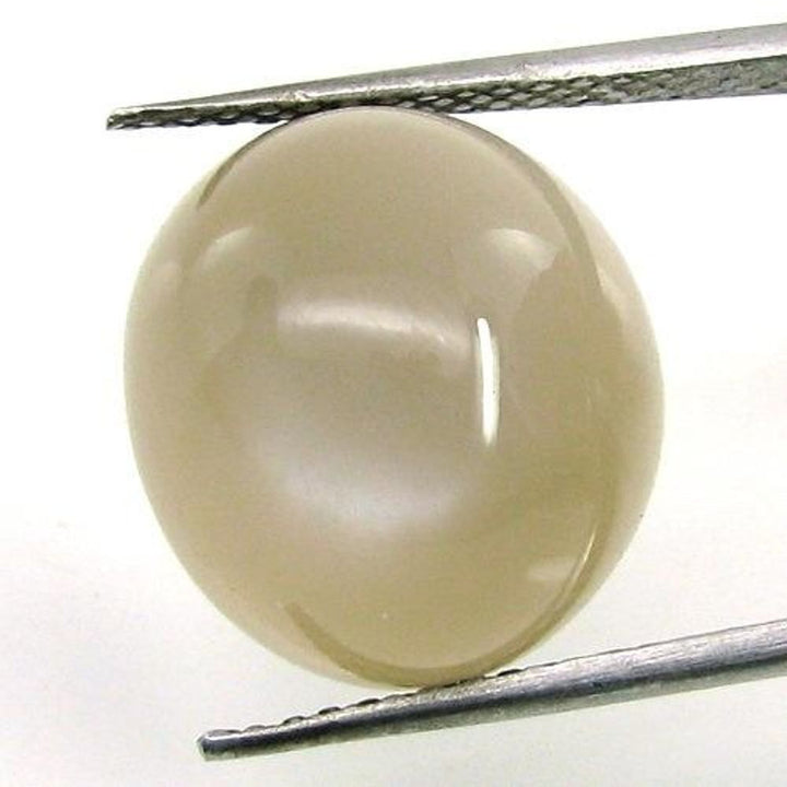 Certified 13.62Ct Natural MOONSTONE Oval Cabochon Rashi Gemstone for Moon