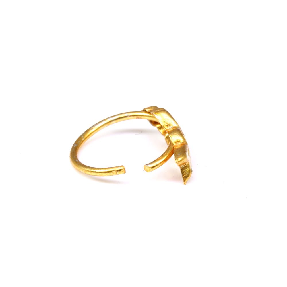 Indian nose Ring nose hoop Ring, Asian gold plated - Small